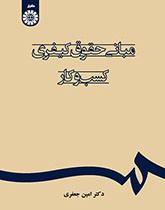 مبانی حقوق کیفری کسبوکار